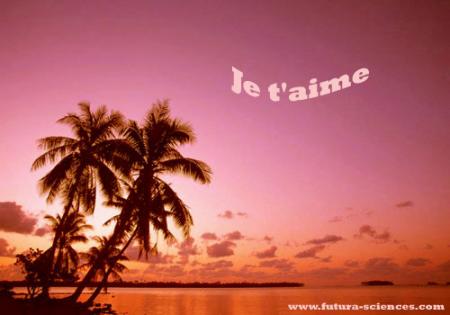 Je vs aime